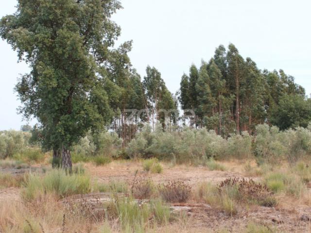 Terreno venda em Guarda, Seia
