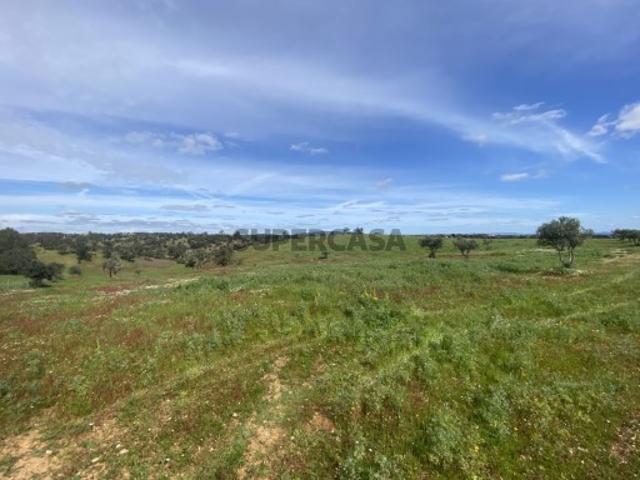 Terreno venda em Serpa, Beja