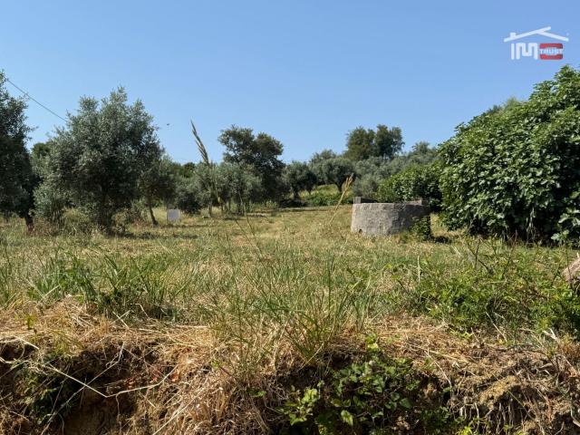 Terreno venda em Ourém, Santarém