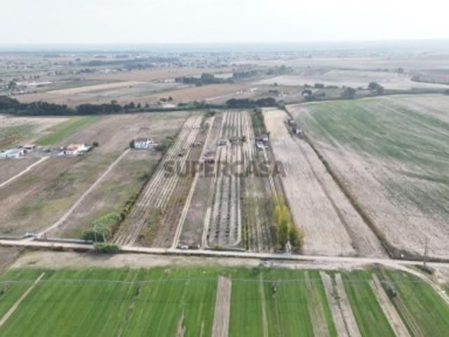 Terreno venda em Almeirim, Santarém