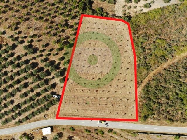 Terreno venda em Argeriz, Vila Real
