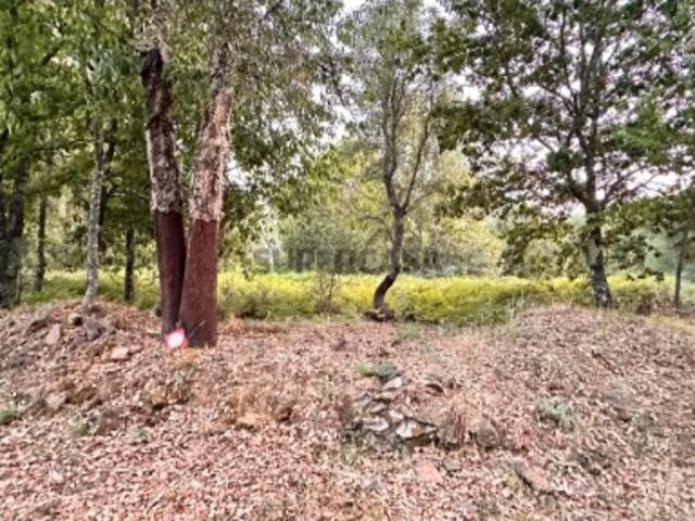 Terreno venda em Pedrógão Grande, Leiria