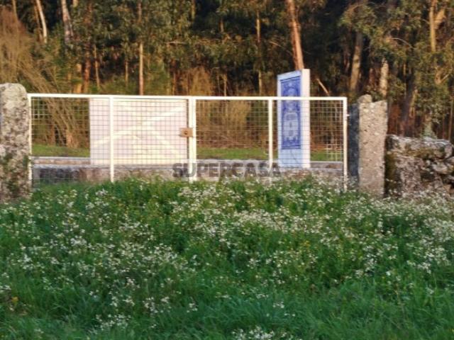 Terreno venda em Mangualde, Cunha Baixa Terreno venda em Mangualde, Cunha Baixa