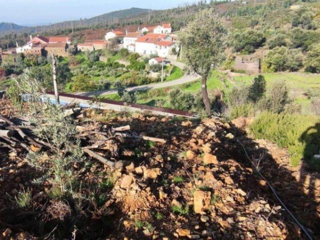 Terreno venda em Castelo Branco, Cumeada