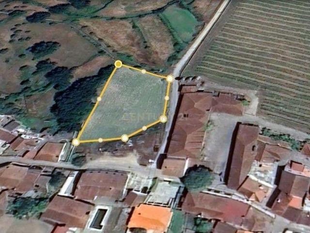 Terreno venda em Tábua, Coimbra