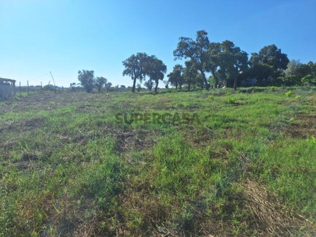 Terreno venda em Tomar, Bairrada Terreno venda em Tomar, Bairrada