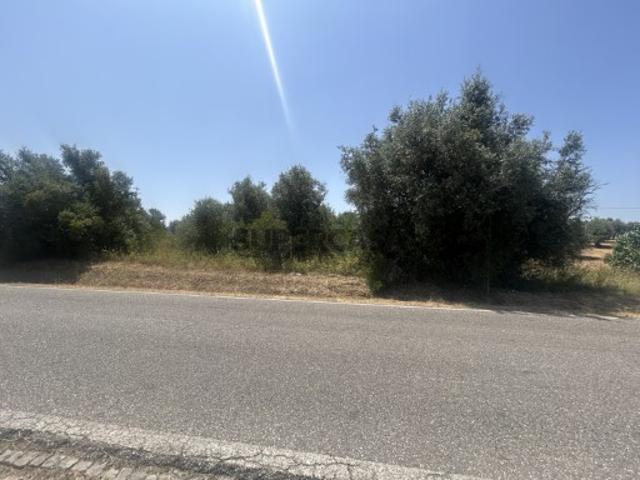 Terreno venda em Torres Novas, Santarém