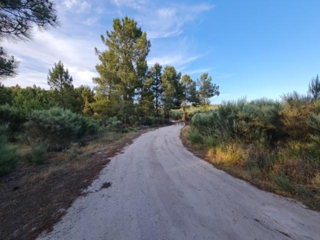 Terreno venda em Leomil, Viseu