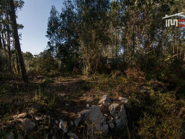 Terreno venda em Leiria