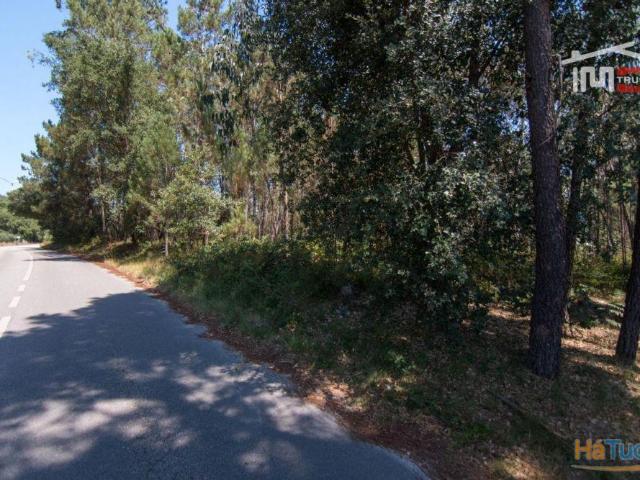 Terreno venda em Porto De Mós, Leiria