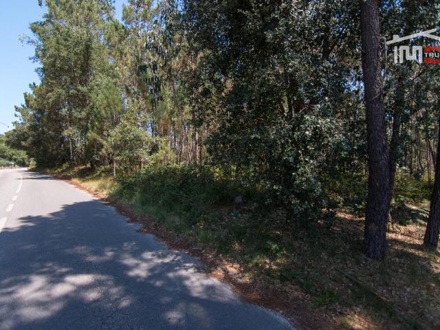 Terreno venda em Porto De Mós, Leiria