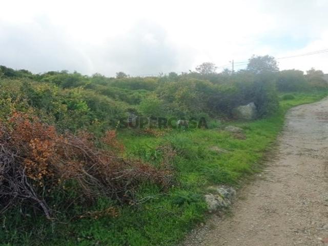 Terreno venda em Tapada de Vale de Lobos, Sintra