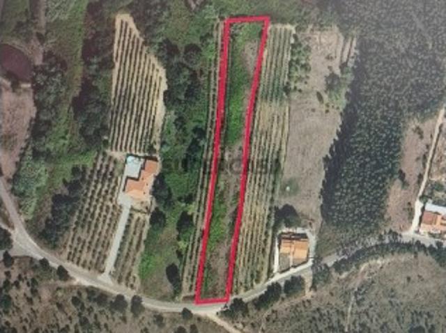 Terreno venda em Alcobaça, Leiria