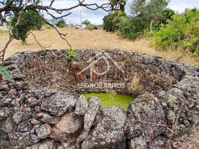 Terreno venda em Castelo Branco