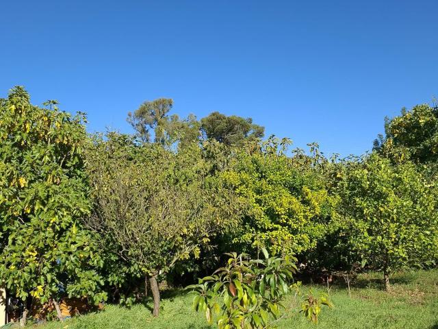 Terreno venda em Quinta de Santa Ana, Almada