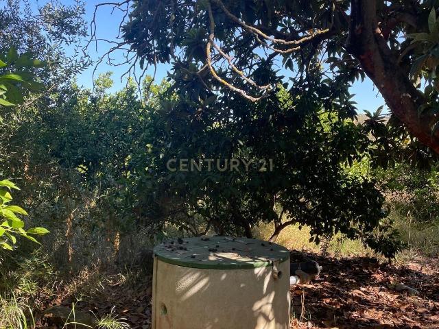 Terreno venda em Silves, Faro