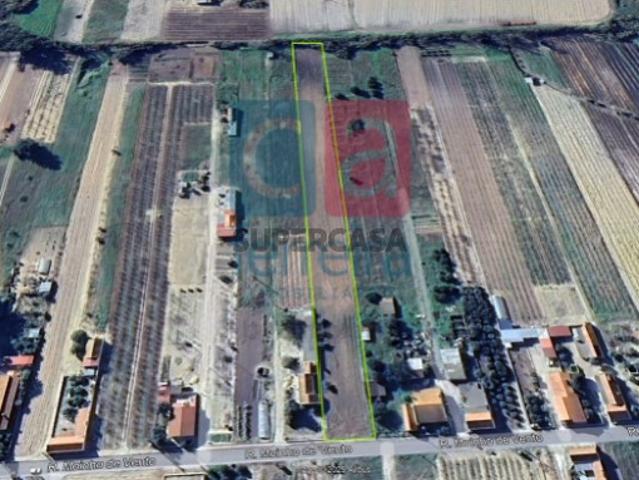 Terreno venda em Almeirim Terreno venda em Almeirim