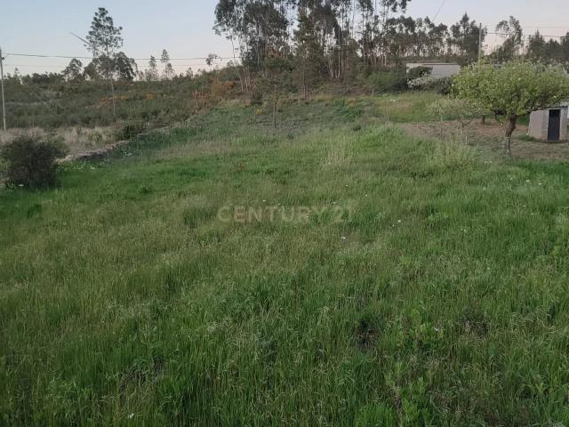 Terreno venda em Castelo Branco