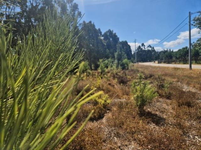 Terreno venda em Figueira Da Foz, Coimbra