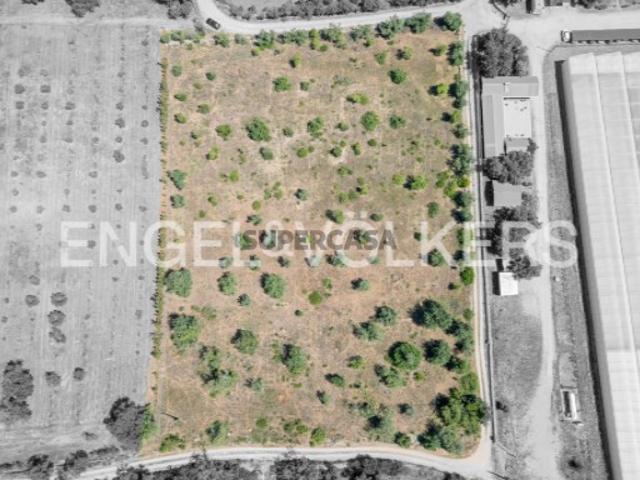 Terreno venda em Luz de Tavira, Tavira