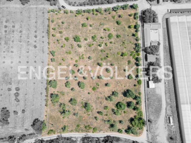 Terreno venda em Luz de Tavira, Tavira