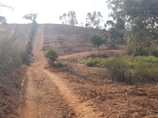 Terreno venda em Ourique, Beja