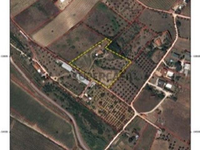 Terreno venda em Cartaxo e Vale da Pinta, Cartaxo