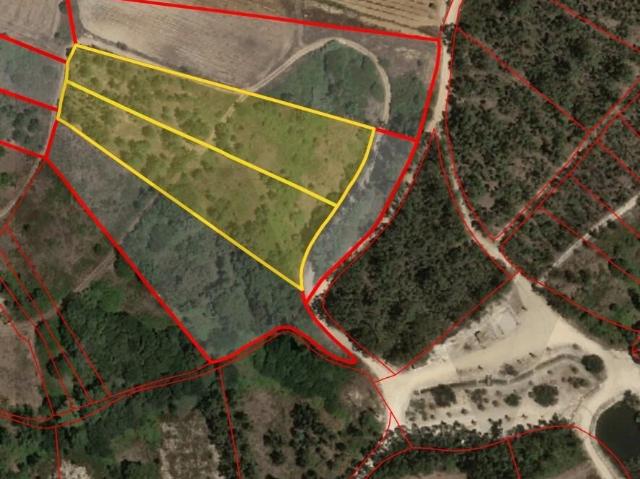 Terreno venda em Alenquer, Lisboa