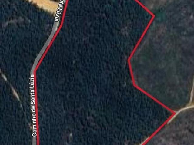 Terreno venda em Castelo Branco, Aldeia Nova Do Cabo