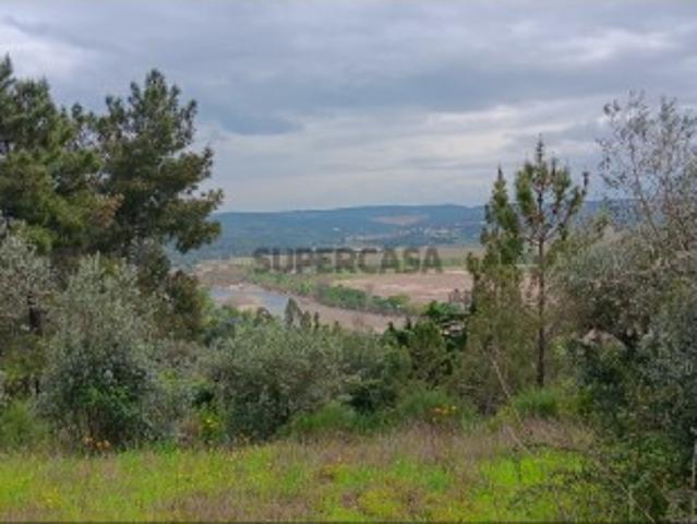 Terreno venda em Mação, Santarém