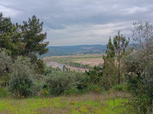 Terreno venda em Mação, Santarém