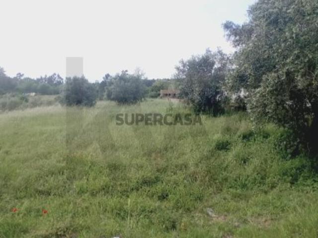 Terreno venda em Fonte da Cortiça, Soure