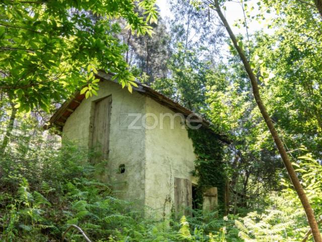 Terreno venda em Celorico De Basto, Braga