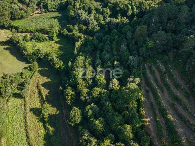 Terreno venda em Amares, Braga