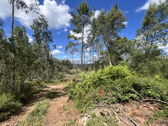 Terreno venda em Rego Da Murta, Santarém