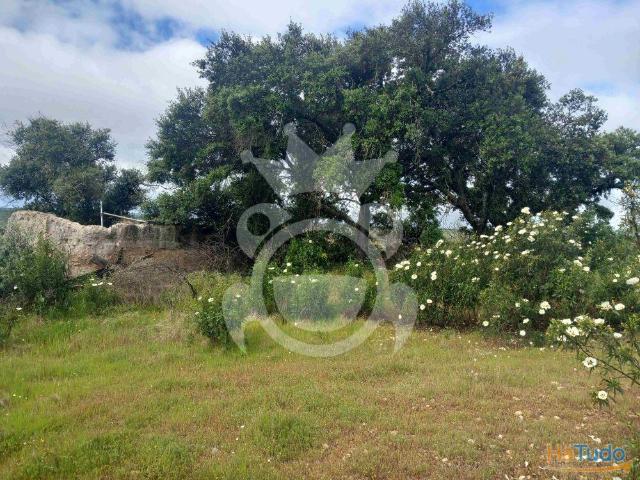 Terreno venda em Serpa, Beja