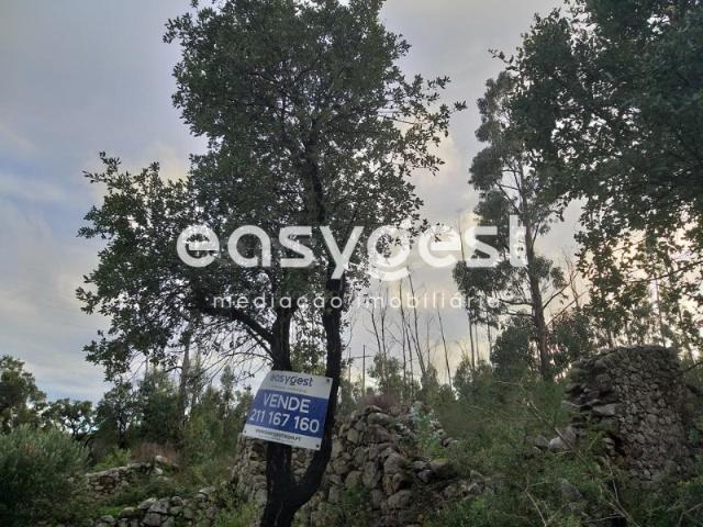 Terreno venda em Monchique, Faro