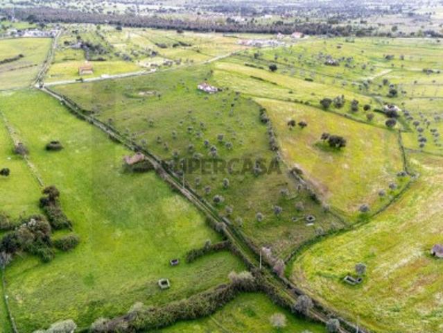 Terreno venda em Nisa, Portalegre
