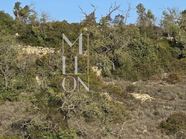 Terreno venda em Albufeira, Faro