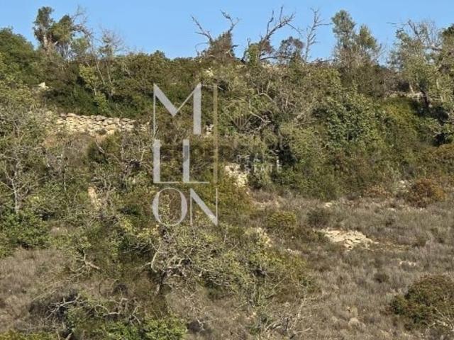 Terreno venda em Albufeira, Faro