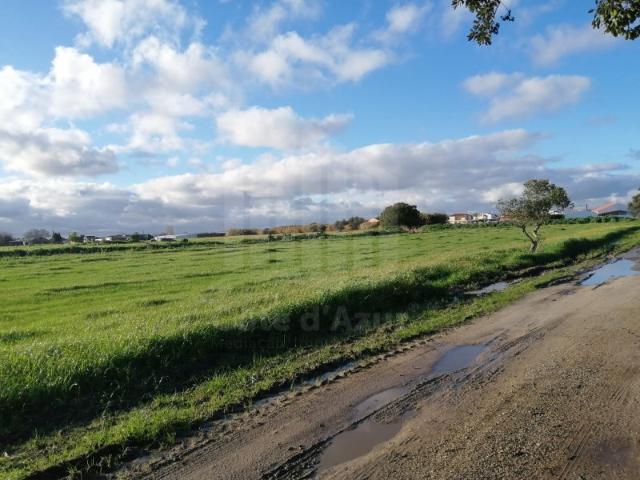 Terreno venda em Jardia, Montijo
