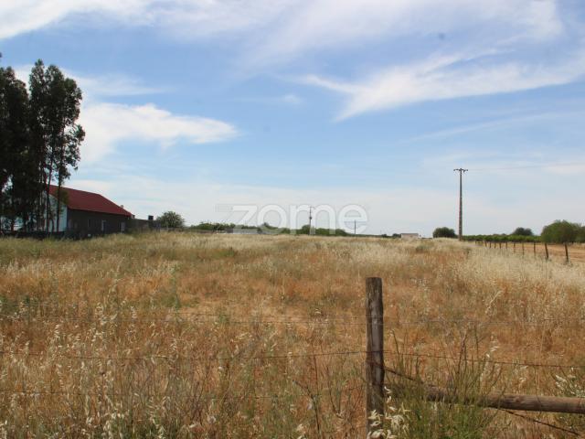 Terreno venda em Albufeira, Faro