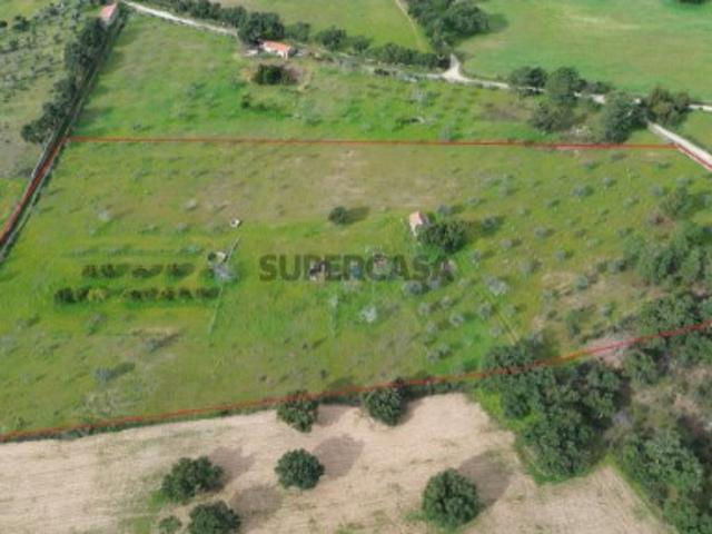 Terreno venda em Castelo Branco