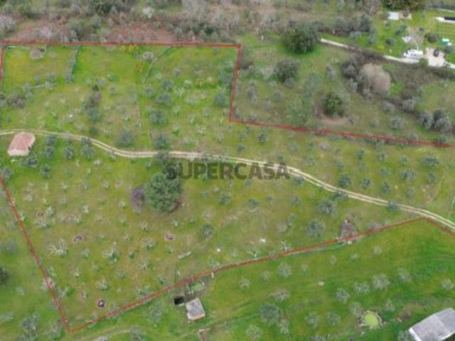Terreno venda em Castelo Branco