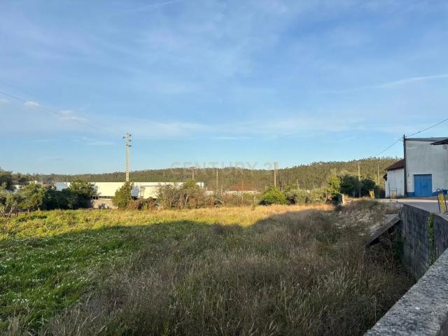 Terreno venda em Pombal, Leiria