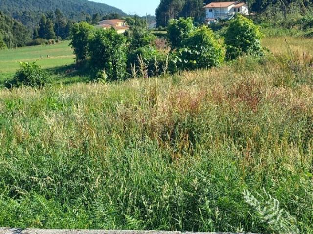 Terreno venda em Arouca, Escariz
