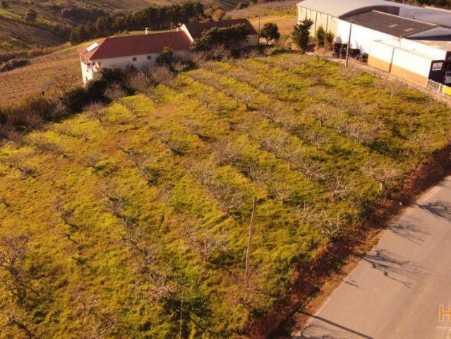 Terreno venda em Óbidos, Leiria