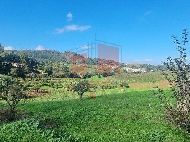 Terreno venda em Mafra, Lisboa