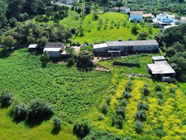 Terreno venda em Pombal, Leiria