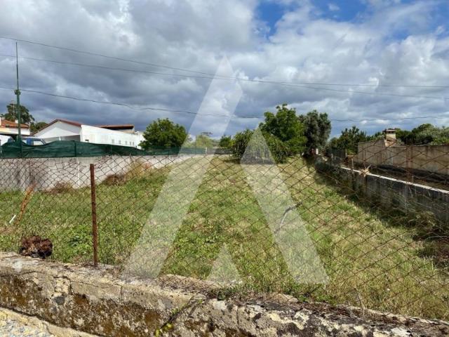 Terreno venda em Anadia, Aveiro